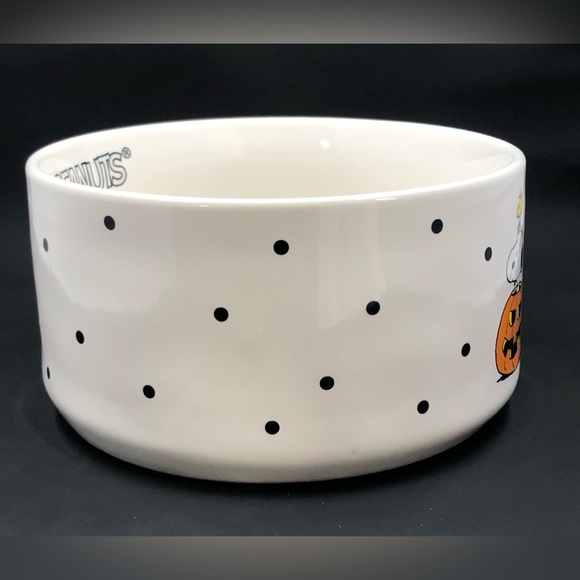 Rae Dunn Peanuts Pet Dog Bowl Halloween Spooktacular Snoopy & Woodstock - Picture 5 of 16